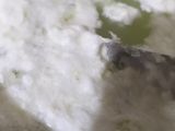 ছানার ভুজিয়া (chanar bhujiya recipe in bengali)