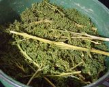 Foto del paso 1 de la receta: Huauzontles capeados