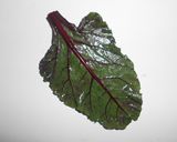 Foto del paso 2 de la receta: Ensalada de Lechuga y Hojas tiernas de Remolacha