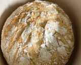 A picture of step 9 of Gluten Free Loaf.