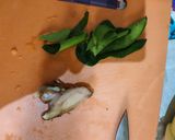 Foto langkah ke 4 dari resep Nasi Kuning Magic Com.