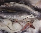 Foto langkah ke 2 dari resep Karondam/Peca Khas Dayak Ngaju ala Violet Azalea.