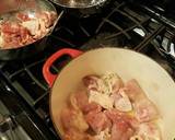 Chicken Paprikash recipe step 4 photo