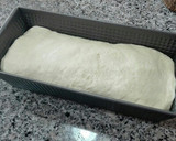 Foto del paso 5 de la receta: Pan de sándwich blanco