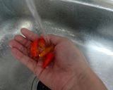 Foto langkah ke 2 dari resep Sambel Plecing Kangkung Khas Lombok.