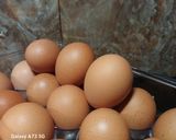 Foto langkah ke 1 dari resep Telur Bumbu Bali (Kids Friendly).