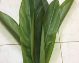 Hình bước làm 2 của món Xôi lá riềng