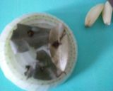 Foto del paso 1 de la receta: Salsa bechamel