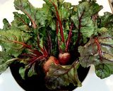 A picture of step 1 of Beet Leaf Sushi.
