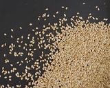 A picture of step 3 of Oats Ladoo (sugar-free).