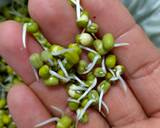 Sprouts recipe step 4 photo