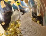 Foto del paso 7 de la receta: Brotes de fenogreco 🌱 Germinación de semillas de fenogreco 🌱