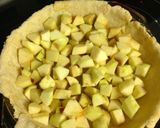 A picture of step 5 of Sour Cream Apple Pie.