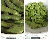 A picture of step 1 of Fava Bean Paste with Rosemary and Garlic.