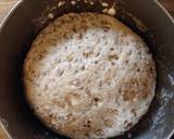 Wheat Berry Bread with Rye and Spelt Flour  recipe step 7 photo