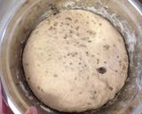 A picture of step 7 of Wholegrain Spelt Bread with Flax and Sunflower Seeds (Slow-rise).