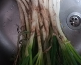 Foto del paso 1 de la receta: Calçots