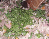 Foto del paso 3 de la receta: Arroz cantonés 🌾