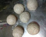 中種優格50%全麥吐司(12兩*2)的食譜步驟2照片