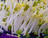 Hình bước làm 3 của món Làm giá đậu xanh