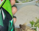 صورة لخطوة 4 من وصفة متبل باذنجان