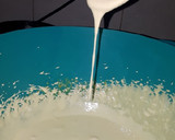 Foto del paso 2 de la receta: Sambayon Express Súper Rico Para Postre
