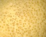 صورة لخطوة 1 من وصفة بغرير الله الله ❤️❤️