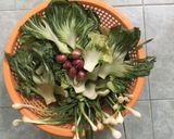 Hình bước làm 2 của món Dưa cải muối 