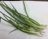 Hình bước làm 4 của món Bắp cải cuộn thịt bằm