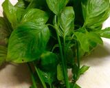 Hình bước làm 1 của món Xôi lá cẩm