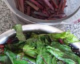 Foto del paso 2 de la receta: Arrollado de hojas de remolacha (esta versión, con atún)