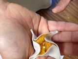 Kabocha Squash Shumai