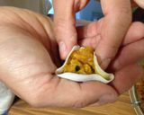 A picture of step 5 of Kabocha Squash Shumai.
