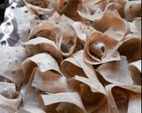 A picture of step 3 of Chicken Wontons 🥠.