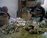 Foto del paso 2 de la receta: Xolostle de hongos silvestres