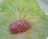 A picture of step 3 of Cabbage Rolls.