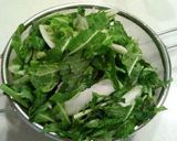 A picture of step 1 of Nappa Cabbage and Mustard Green Ohitashi.