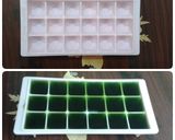Hình bước làm 4 của món Trà Thái Xanh
