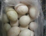Hình bước làm 2 của món Chả giò rế hải sản phong cách miền Bắc (4 người ăn)