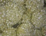 A picture of step 1 of Sabudana wada.