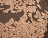 Foto del paso 2 de la receta: Semillas de calabaza