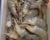 Foto langkah ke 1 dari resep Udang Goreng Mentega.