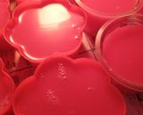 Foto langkah ke 2 dari resep 879) Puding Frambozen Santan.