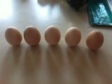 Ensaladilla rusa