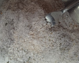 Foto del paso 2 de la receta: Pencas rebozadas