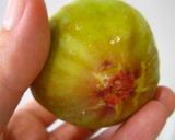 A picture of step 1 of Fig Gelatin.