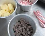 Peppermint and Chocolate Covered Oreo recipe step 1 photo