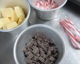 A picture of step 1 of Peppermint and Chocolate Covered Oreo.