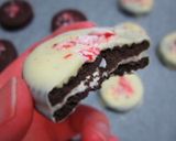 A picture of step 5 of Peppermint and Chocolate Covered Oreo.