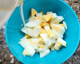 Foto del paso 2 de la receta: 🧄🥚 Mayonesa de ajo a base de huevo duro 🥚🧄